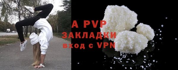 индика Магас