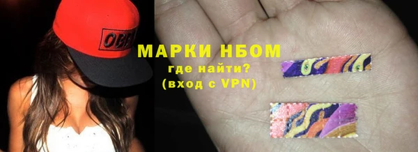 индика Магас