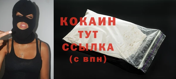 индика Магас