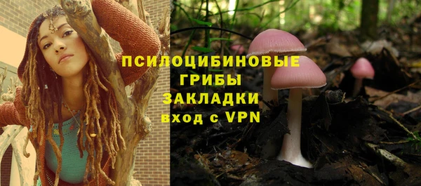 индика Магас