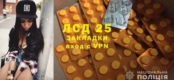 PSILOCYBIN Майский